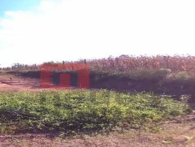 Terreno para Venda, em Vera Cruz, bairro NENHUM