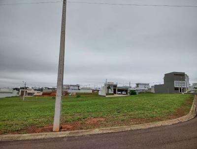 Terreno para Venda, em Pirapozinho, bairro Vila Santa Rosa