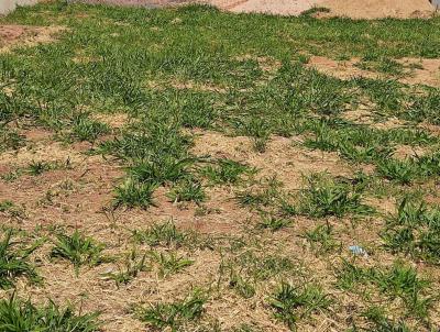 Terreno para Venda, em lvares Machado, bairro Condomnio Izabel Mizobe