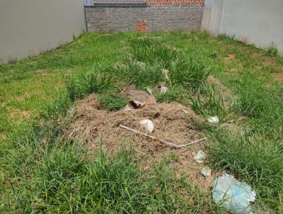 Terreno para Venda, em Presidente Prudente, bairro Jardim Novo Prudentino