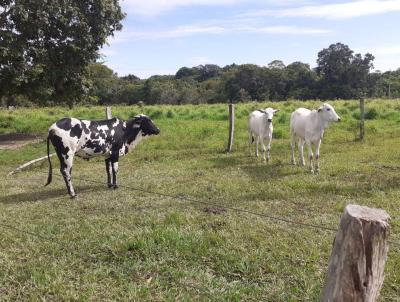 Fazenda para Venda, em Ribeiro Cascalheira, bairro Bairro Rural, 4 dormitrios