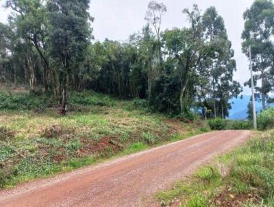 Stio / Chcara para Venda, em Nova Petrpolis, bairro Linha Olinda