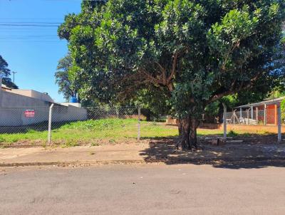 Terreno para Venda, em Presidente Prudente, bairro Chcaras Azalias