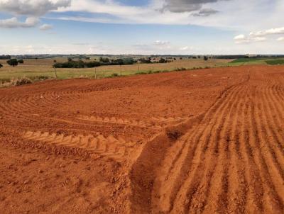 Chcara para Venda, em Alfredo Marcondes, bairro rea Rural, 2 dormitrios, 2 banheiros