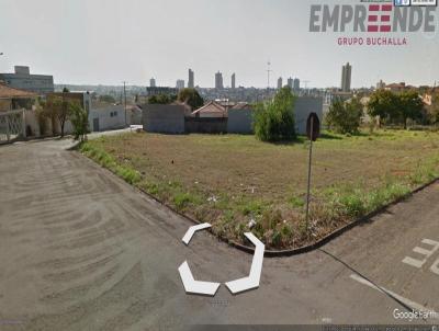 imagem-miniatura