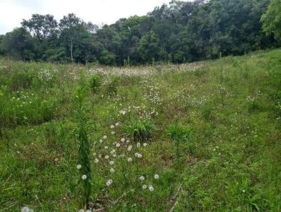 Terreno para Venda, em Curitiba, bairro Area Rural