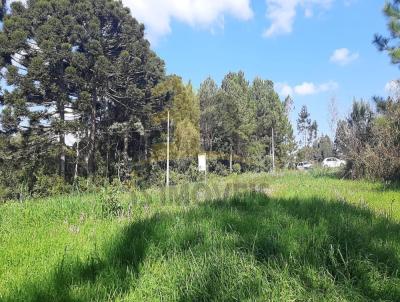 Terreno para Venda, em Castro, bairro 