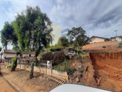 Terreno Urbano para Venda, em Castro, bairro Vila Santa Cruz