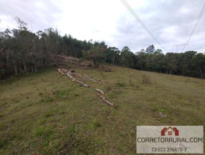 Stio para Venda, em Piedade, bairro Vila Elvio