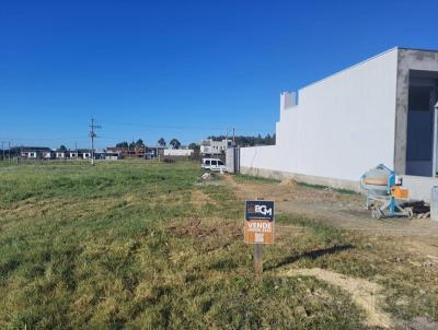 Terreno para Venda, em Osrio, bairro Bosques do Albatroz