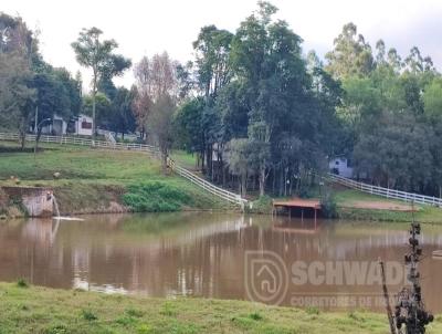 rea Rural para Venda, em Trs Passos, bairro interior