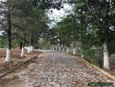 Fazenda para Venda, em Esmeraldas, bairro DUMAVILLE, 9 dormitrios, 5 banheiros, 4 vagas