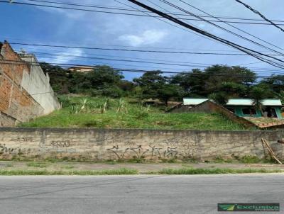 Terreno para Venda, em Belo Horizonte, bairro Palmeiras