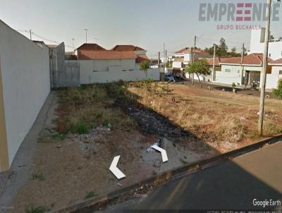 imagem-miniatura