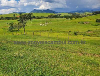 Fazenda para Venda, em Itajub, bairro 