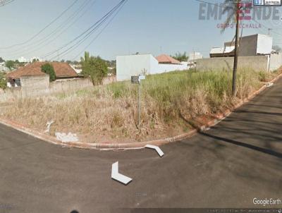 imagem-miniatura