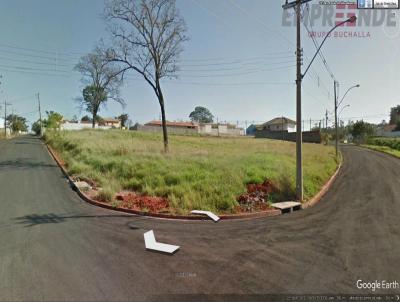 imagem-miniatura