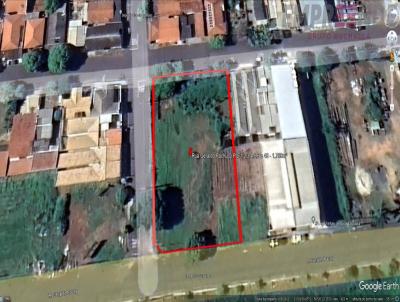 Área para Venda, em Birigui, bairro São Conrado