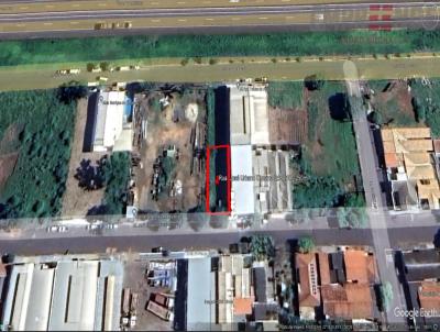 Terreno para Venda, em Birigui, bairro So Conrado