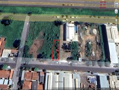 Terreno para Venda, em Birigui, bairro So Conrado