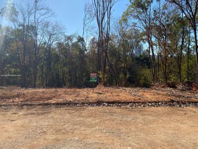 Lote para Venda, em Montes Claros, bairro Ibituruna
