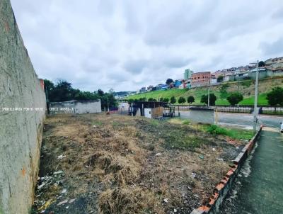 Terreno para Venda, em , bairro Centro