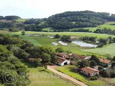 rea Rural para Venda, em Crissiumal, bairro interior