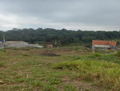 Stio para Venda, em Mogi das Cruzes, bairro Taboo