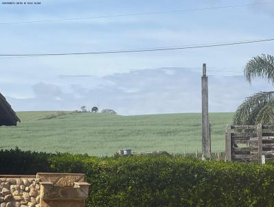 rea Rural para Venda, em So Sebastio da Bela Vista, bairro 