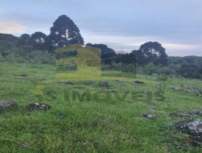 Terreno para Venda, em Castro, bairro Santo Antnio