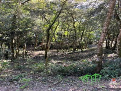 Terreno para Venda, em Piraquara, bairro Jardim Santa Helena