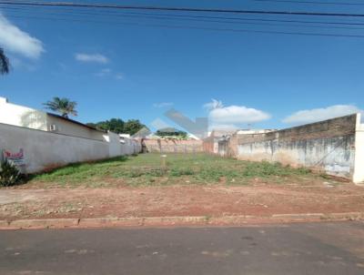 imagem-miniatura