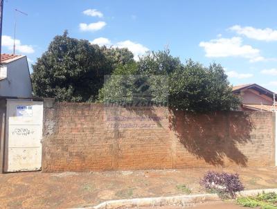 Terreno para Venda, em Cordeirpolis, bairro Vila Ldia