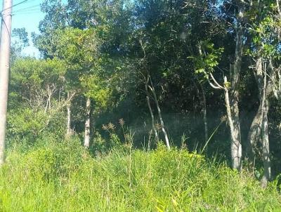 Terreno para Venda, em Itanham, bairro Paranapu