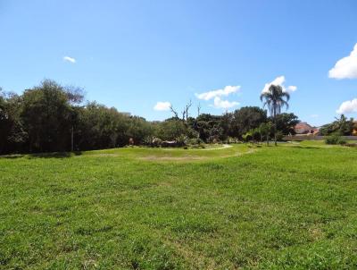 Terreno para Venda, em Florianpolis, bairro Jurer Internacional