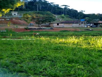 Granja para Venda, em , bairro Sitio dos Pinheiros, 1 dormitrio, 1 banheiro