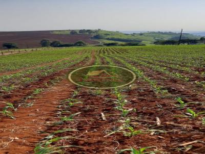 Fazenda para Venda, em Manoel Ribas, bairro .