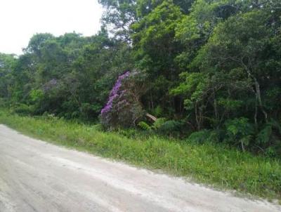 Terreno para Venda, em Itanham, bairro Paranapu