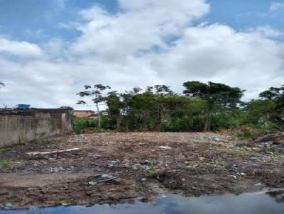 Terreno para Venda, em Itanham, bairro Palmeiras