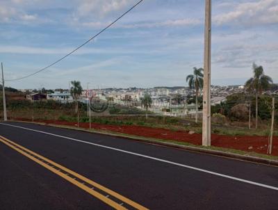 Terreno para Venda, em Pato Branco, bairro Aeroporto