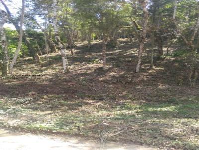 Terreno para Venda, em Terespolis, bairro Albuquerque