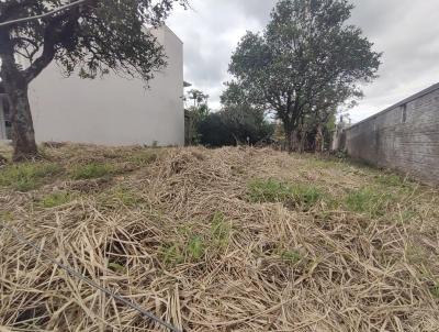 Terreno para Venda, em Porto, bairro Centro