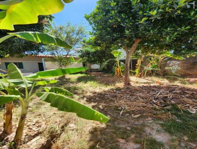 Lote para Venda, em Goinia, bairro Setor Graja