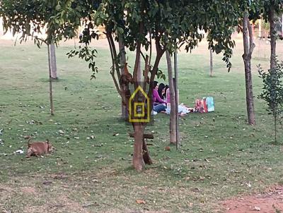 imagem-miniatura