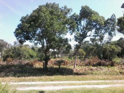 Terreno para Venda, em Itanham, bairro Luizamar Mirim