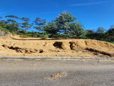 Terreno para Venda, em Brusque, bairro Rio Branco