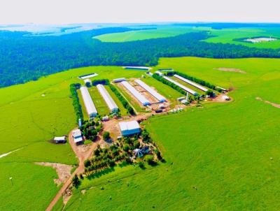 Oportunidade para Investidor para Venda, em Lucas do Rio Verde, bairro Rural