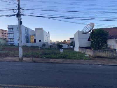 Terreno para Venda, em Erechim, bairro BELA VISTA