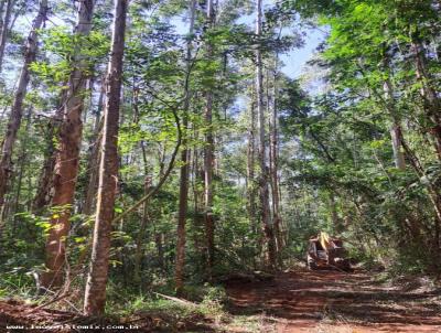 rea Rural para Venda, em Joanpolis, bairro RURAL