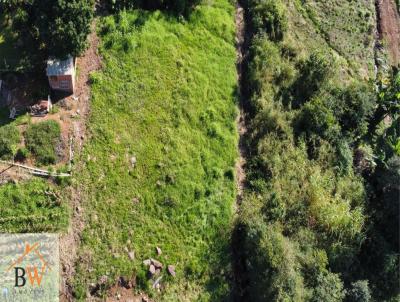 Terreno Urbano para Venda, em Tupandi, bairro Centro